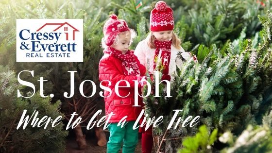 Live Christmas Trees - St. Joseph, MI - Cressy & Everett Real Estate